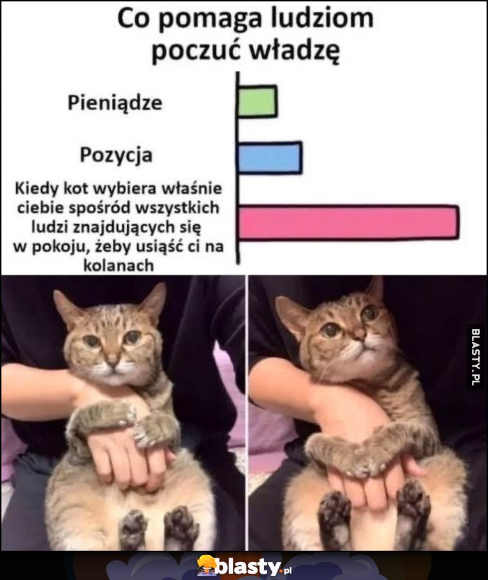 Co pomaga ludziom poczuć władzę: kiedy kot wybiera właśnie ciebie pośród wszystkich ludzi znajdujących się w pokoju, żeby usiąść ci na kolanach