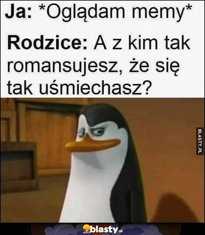 Ja: oglądam memy, rodzice: a z kim tak romansujesz, że się tak uśmiechasz? Pingwin