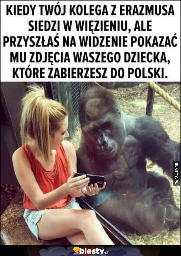 Kiedy Twój kolega z Erazmusa siedzi w więzieniu, ale przyszłaś na widzenie pokazać mu zdjęcia waszego dziecka, które zabierasz do Polski Małpa Goryl