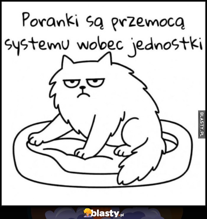 Poranki są przemocą systemu wobec jednostki kot kotek