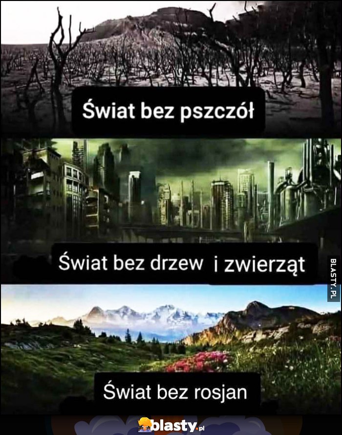 Świat bez pszczół, świat bez drzew i zwierząt, świat bez rosjan porównanie