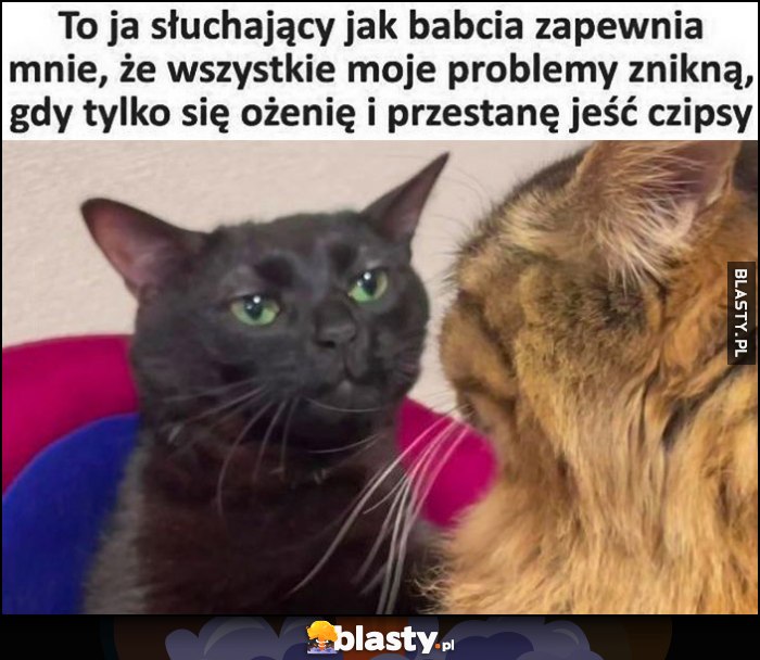 To ja słuchający jak babcia zapewnia mnie, że wszystkie moje problemy znikną, gdy tylko się ożenię i przestanę jeść czipsy kot kotek To ja słuchający jak babcia zapewnia mnie, że wszystkie moje problemy znikną, gdy tylko się ożenię i przestanę jeść czipsy kot kotek