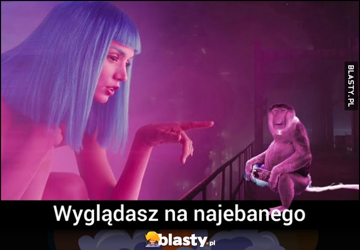 Wyglądasz na nawalonego Polak nosacz małpa