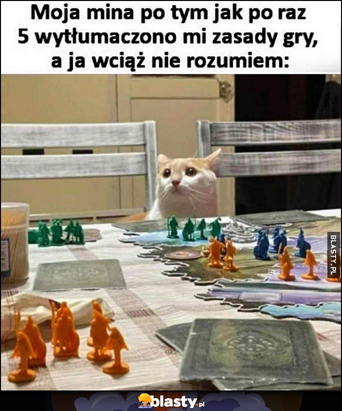 Kot kotek moja mina po tym jak po raz 5 wytłumaczono mi zasady gry, a ja wciąż nie rozumiem