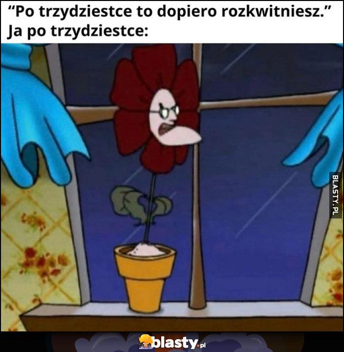 Po trzydziestce to dopiero rozkwitniesz vs ja po trzydziestce kwiatek zgred