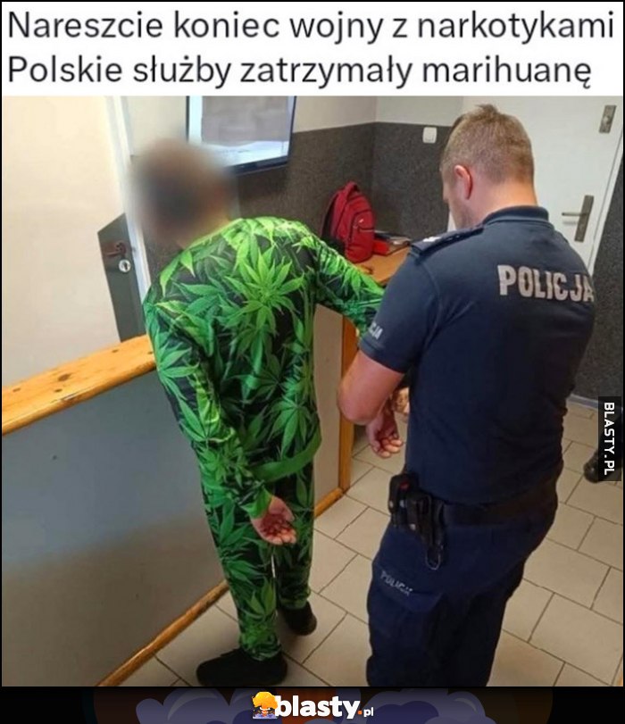Nareszcie koniec wojny z narkotykami, polskie służby zatrzymały marihuanę