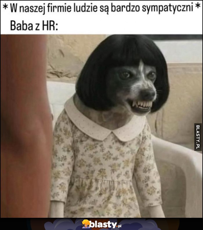 W naszej firmie ludzie sa bardzo sympatyczni, tymczasem baba z HR zły pies piesek W naszej firmie ludzie sa bardzo sympatyczni, tymczasem baba z HR zły pies piesek