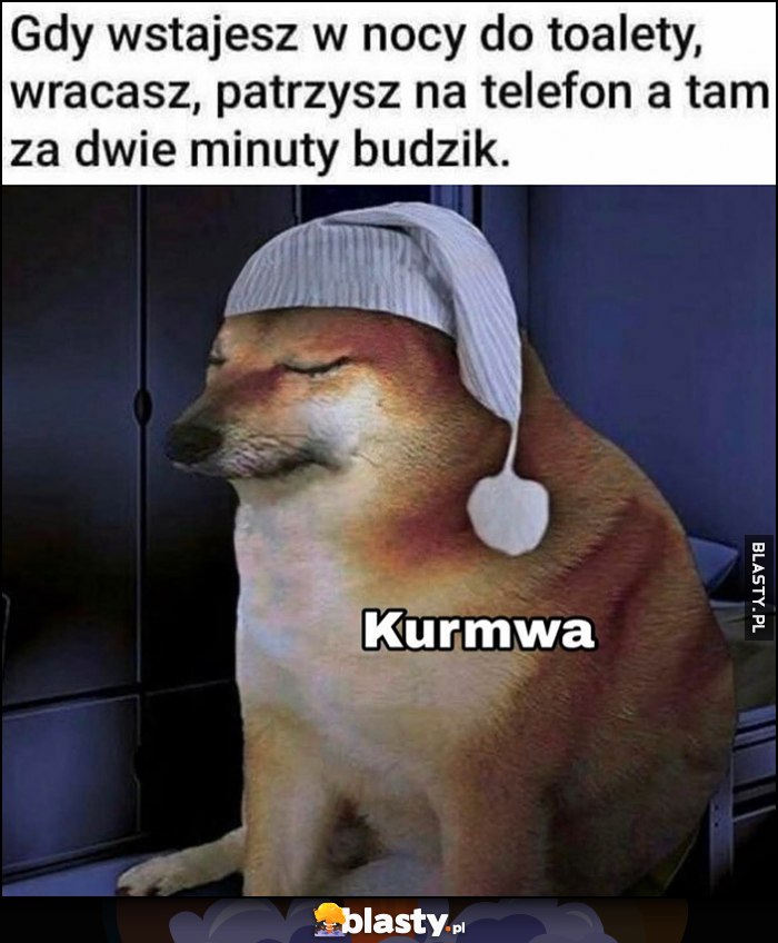 Gdy wstajesz w nocy do toalety, wracasz, patrzysz na telefon a tam za dwie minuty budzik pies pieseł doge cheems Gdy wstajesz w nocy do toalety, wracasz, patrzysz na telefon a tam za dwie minuty budzik pies pieseł doge cheems