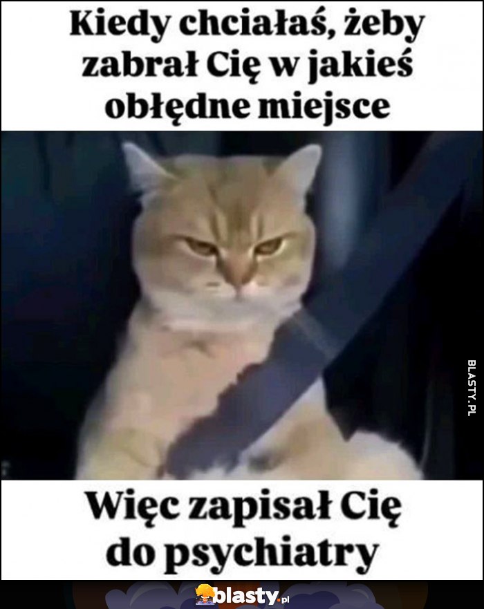 Kiedy chciałaś żeby zabrał Cię w jakieś obłędne miejsce, więc zapisał Cię do psychiatry kot kotek Kiedy chciałaś żeby zabrał Cię w jakieś obłędne miejsce, więc zapisał Cię do psychiatry kot kotek