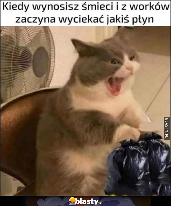Kiedy wynosisz śmieci i z worków zaczyna wyciekać jakiś płyn kot kotek reakcja Kiedy wynosisz śmieci i z worków zaczyna wyciekać jakiś płyn kot kotek reakcja