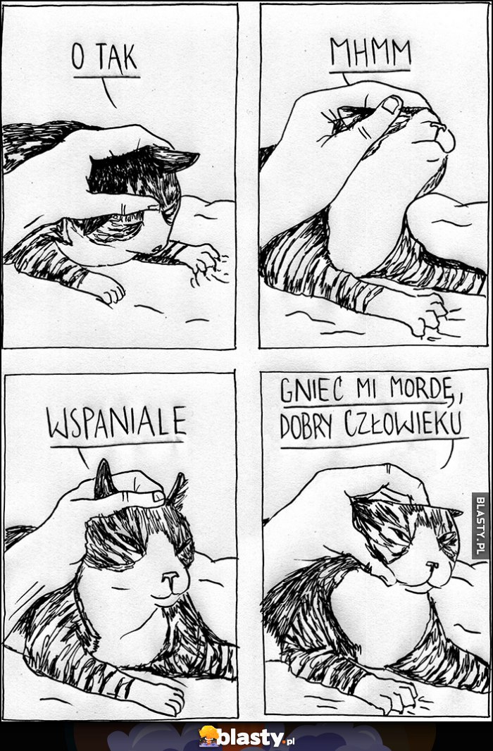 Kot kotek: o tak mhmm wspaniale, gnieć mi mordę dobry czlowieku Kot kotek: o tak mhmm wspaniale, gnieć mi mordę dobry czlowieku