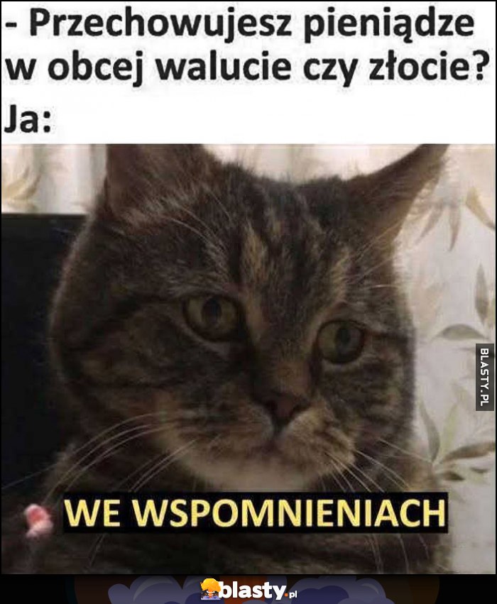 Przechowujesz pieniądze w obcej walucie czy złocie? Ja: we wspomnieniach kot kotek Przechowujesz pieniądze w obcej walucie czy złocie? Ja: we wspomnieniach kot kotek