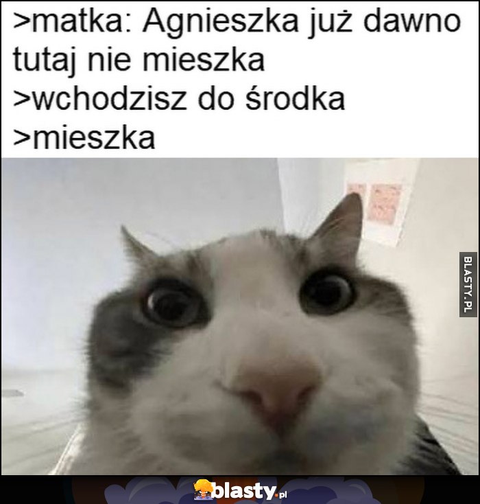Matka: Agnieszka już dawno tutaj nie mieszka, wchodzisz do środka, mieszka kot kotek Matka: Agnieszka już dawno tutaj nie mieszka, wchodzisz do środka, mieszka kot kotek