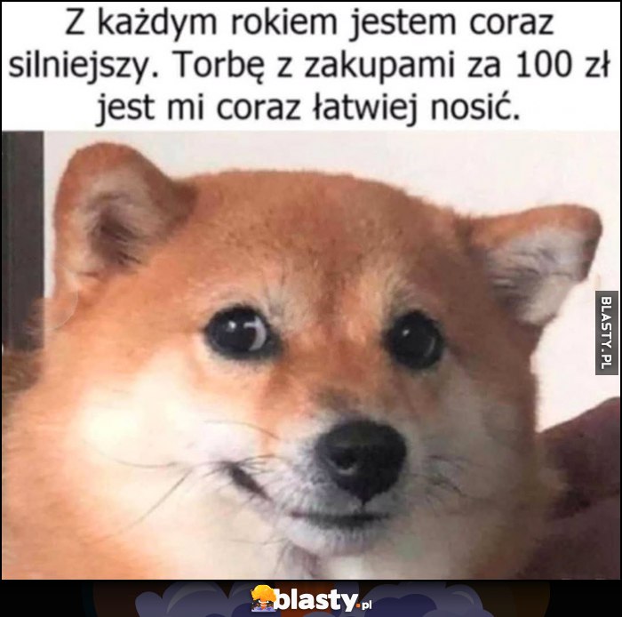 Z każdym rokiem jestem coraz silniejszy, torbę z zakupami za 100 zl jest mi coraz łatwiej nosić pies piesek Z każdym rokiem jestem coraz silniejszy, torbę z zakupami za 100 zl jest mi coraz łatwiej nosić pies piesek