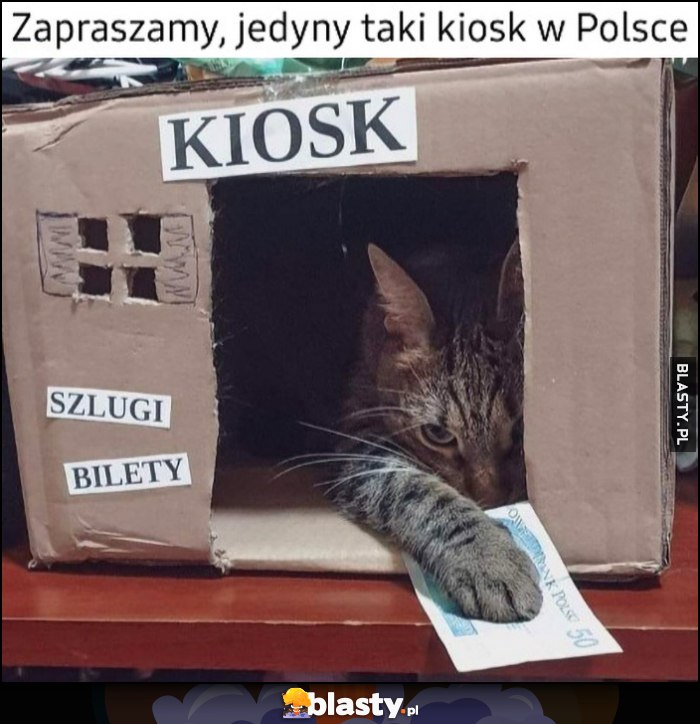 Zapraszamy, jedyny taki kiosk w Polsce kot kotek szlugi bilety Zapraszamy, jedyny taki kiosk w Polsce kot kotek szlugi bilety