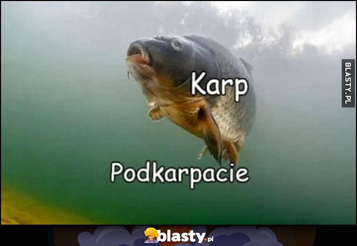 Karp, pod karpiem Podkarpacie Karp, pod karpiem Podkarpacie