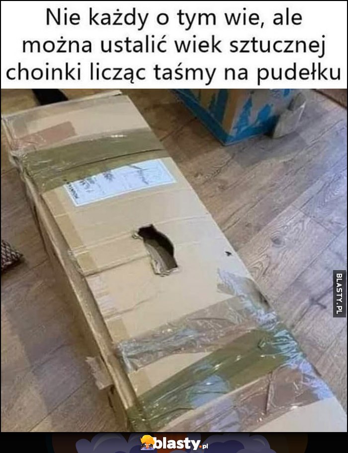 Nie każdy o tym wie, ale można ustalić wiek sztucznej choinki licząc taśmy na pudełku