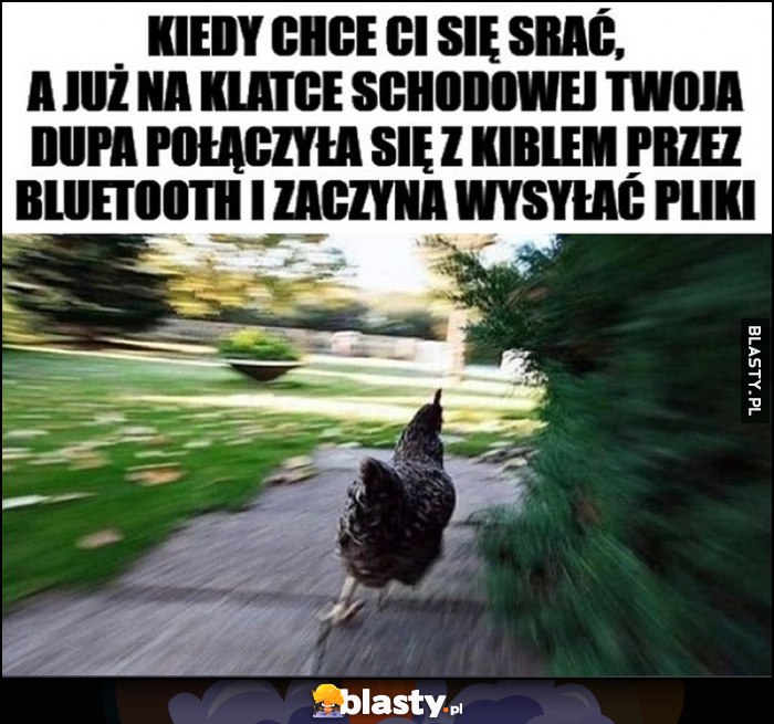 Kura ucieka kiedy chce ci się srać, a już na klatce schodowej dupa połączyła się z kiblem przez bluetooth i zaczyna wysyłać pliki