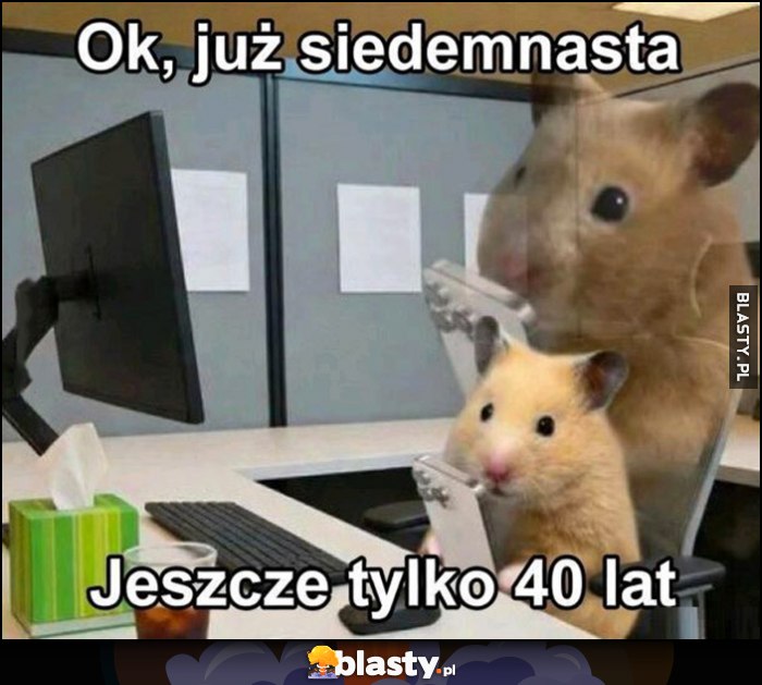 Ok już siedemnasta, jeszcze tylko 40 lat chomik w pracy