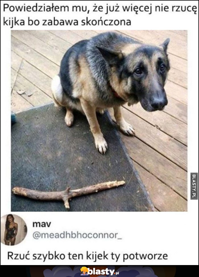 Smutny pies piesek: powiedziałem mu, że już więcej nie rzucę kijka bo zabawa skończona, rzuć szybko ten kijek potworze Smutny pies piesek: powiedziałem mu, że już więcej nie rzucę kijka bo zabawa skończona, rzuć szybko ten kijek potworze