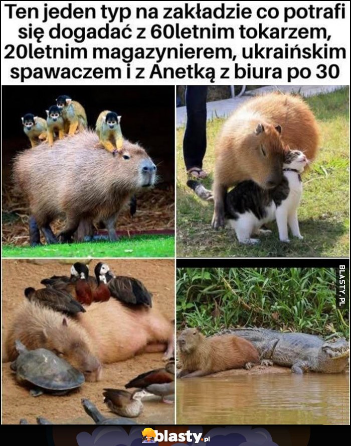 Ten jeden typ na zakładzie co potrafi dogadać się z 60-letnim tokarzem, 20-letnim magazynierem, ukraińskim spawaczem i Anetką z biura po 30