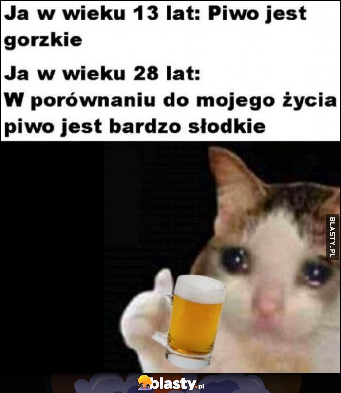 Ja w wieku 13 lat: piwo jest gorzkie, ja w wieku 28 lat: w porównaniu do mojego życia piwo jest bardzo słodkie kot kotek Ja w wieku 13 lat: piwo jest gorzkie, ja w wieku 28 lat: w porównaniu do mojego życia piwo jest bardzo słodkie kot kotek