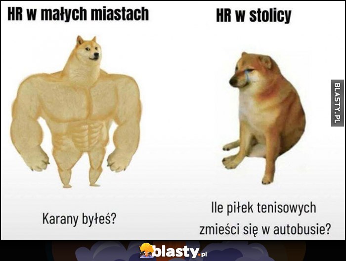 HR w małych miastach: karany byłeś vs HR w stolicy: ile piłek tenisowych zmieści się w autobusie
