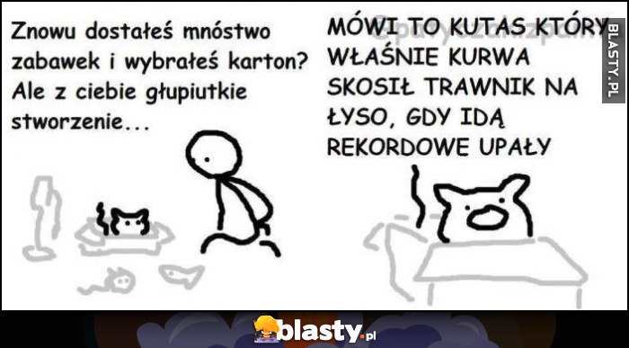Kot znowu dostałeś mnóstwo zabawek i wybrałeś karton, głupiutkie z ciebie stworzenie. Mówi to ktoś, kto skosił trawnik na łyso gdy idą rekordowe upały Kot znowu dostałeś mnóstwo zabawek i wybrałeś karton, głupiutkie z ciebie stworzenie. Mówi to ktoś, kto skosił trawnik na łyso gdy idą rekordowe upały