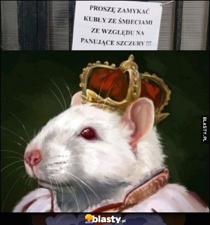 Proszę zamykać kubły ze śmieciami ze wzgldu na panujące szczury dosłownie Proszę zamykać kubły ze śmieciami ze wzgldu na panujące szczury dosłownie