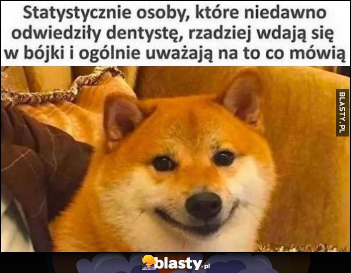 Statystycznie osoby, które niedawno odwiedziły dentystę rzadziej wdają się w bójki i ogólnie uważają na to co mówią pies pieseł doge Statystycznie osoby, które niedawno odwiedziły dentystę rzadziej wdają się w bójki i ogólnie uważają na to co mówią pies pieseł doge