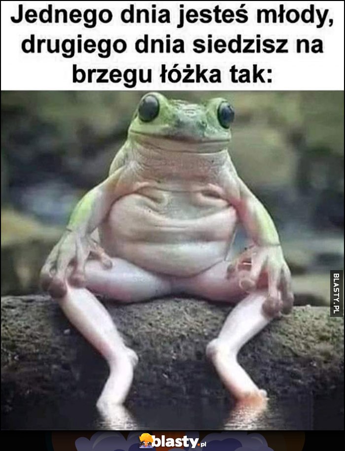 Żaba jednego dnia jesteś młody, drugiego dnia siedzisz na brzegu łóżka tak