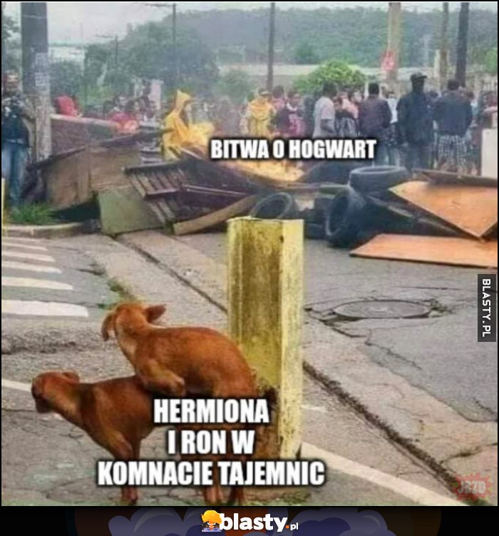 Bitwa o Hogwart vs Hermiona i Ron w komnacie tajemnic kopulujące psy Bitwa o Hogwart vs Hermiona i Ron w komnacie tajemnic kopulujące psy