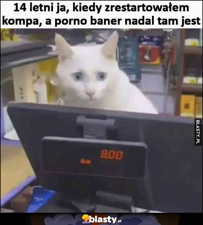 14-letni ja kiedy zrestartowałem kompa a parno baner nadal tam jest kot kotek