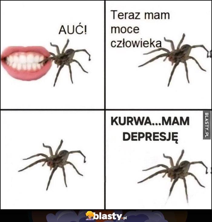 Człowiek gryzie pająka, teraz mam moce człowieka, kurna mam depresję