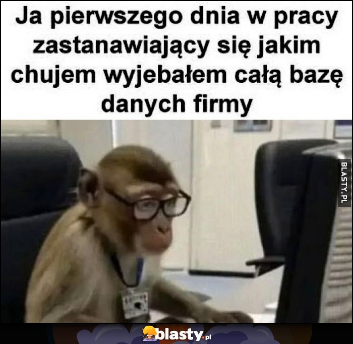 Ja pierwszego dnia w pracy zastanawiający się jakim kijem wywaliłem całą bazę danych firmy