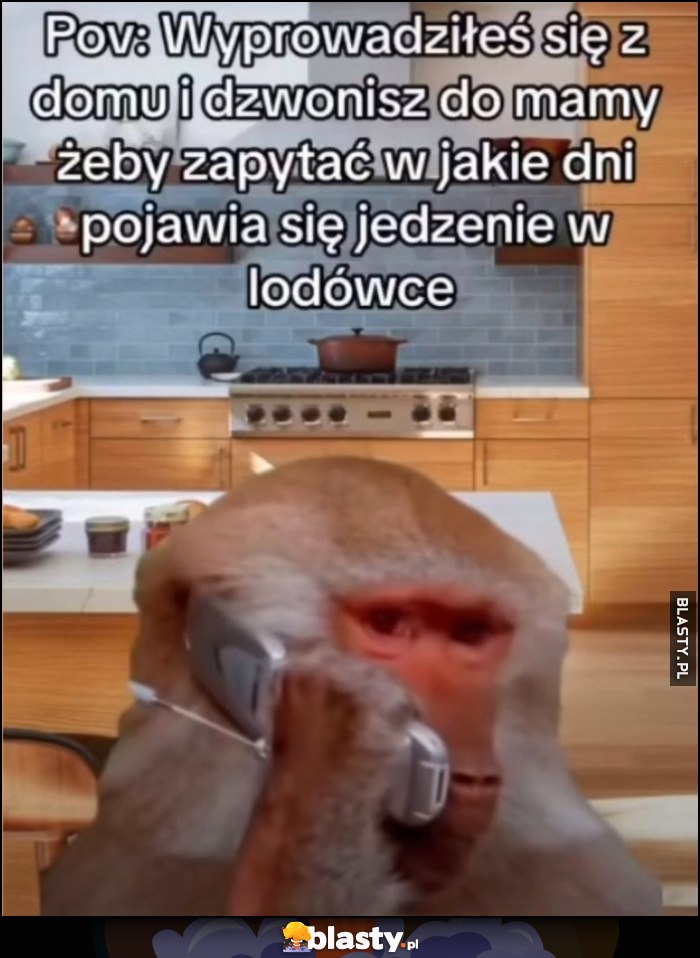 POV: wyprowadziłeś się z domu i dzwonisz do mamy żeby zapytać w jakie dni pojawia się jedzenie w lodówce