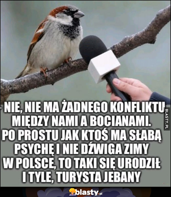 Wróbel: nie ma żadnego konfliktu między nami a bocianami, jak ktoś ma słabą psychę i nie dźwiga zimy w Polsce to taki się urodził i tyle, turysta jechany