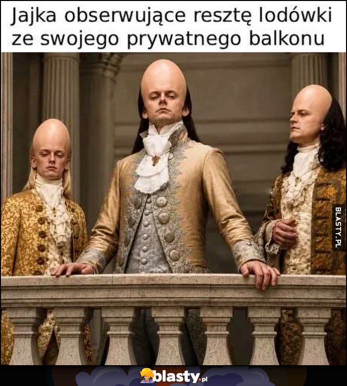 Jajka obeserwujące resztę lodówki ze swojego prywatnego balkonu