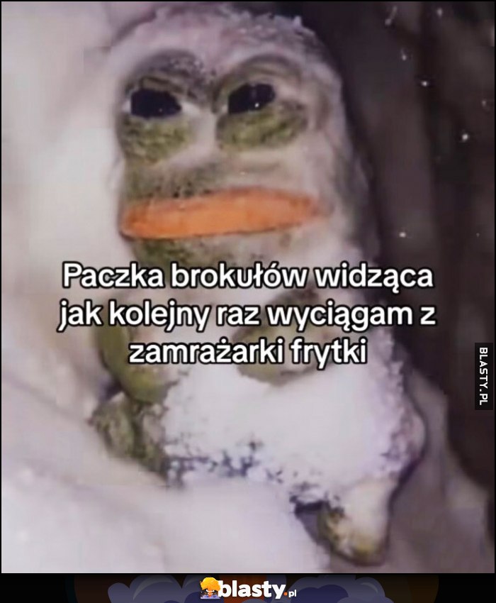 Paczka brokułów widząca jak kolejny raz wyciągam z zamrażarki frytki Paczka brokułów widząca jak kolejny raz wyciągam z zamrażarki frytki