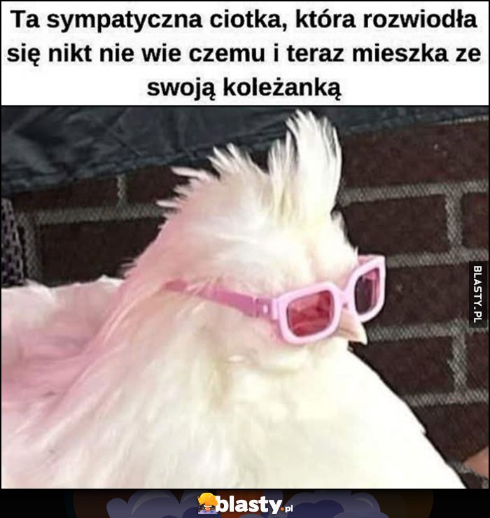 Ta sympatyczna ciotka, która rozwiodła się nikt nie wie czemu i teraz mieszka ze swoją koleżanką kura w okularach Ta sympatyczna ciotka, która rozwiodła się nikt nie wie czemu i teraz mieszka ze swoją koleżanką kura w okularach