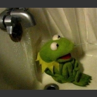 Kermit w łazience pod prysznicem skulony