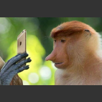 Xiaomi lepsze Małpa nosacz z iPhonem Ajfonem