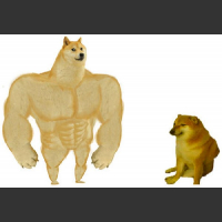 Doge vs cheems pies pieseł silny paker vs słaby mały siedzi płacze